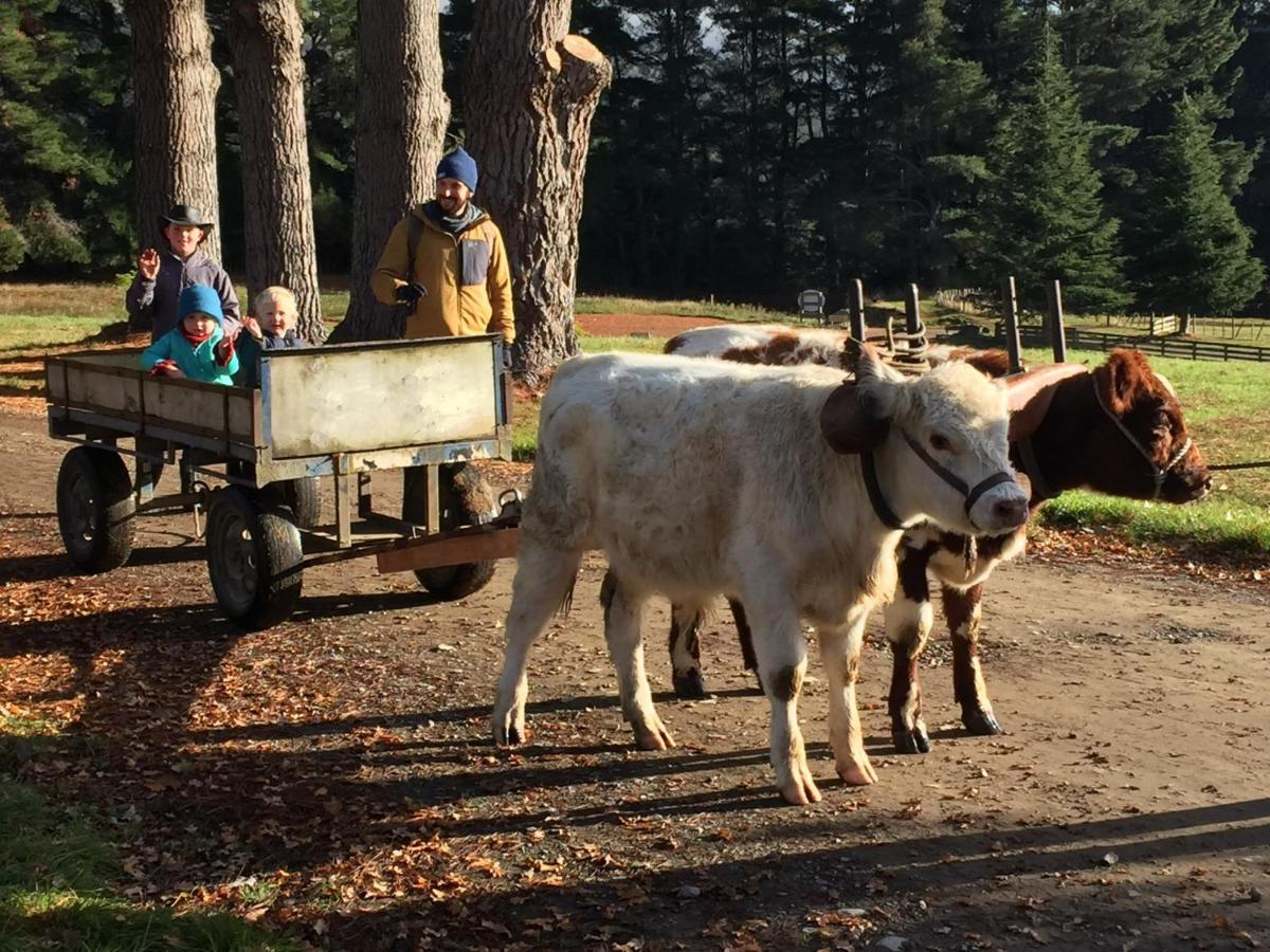 Mohaka River Farm Te Haroto Kültér fotó