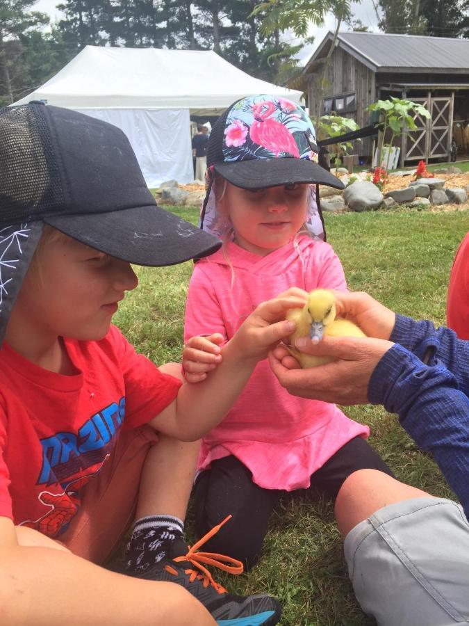 Mohaka River Farm Te Haroto Kültér fotó