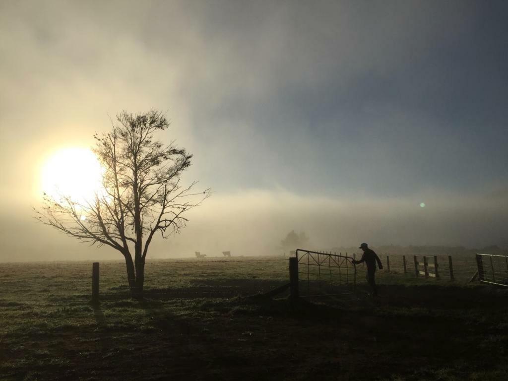 Mohaka River Farm Te Haroto Kültér fotó