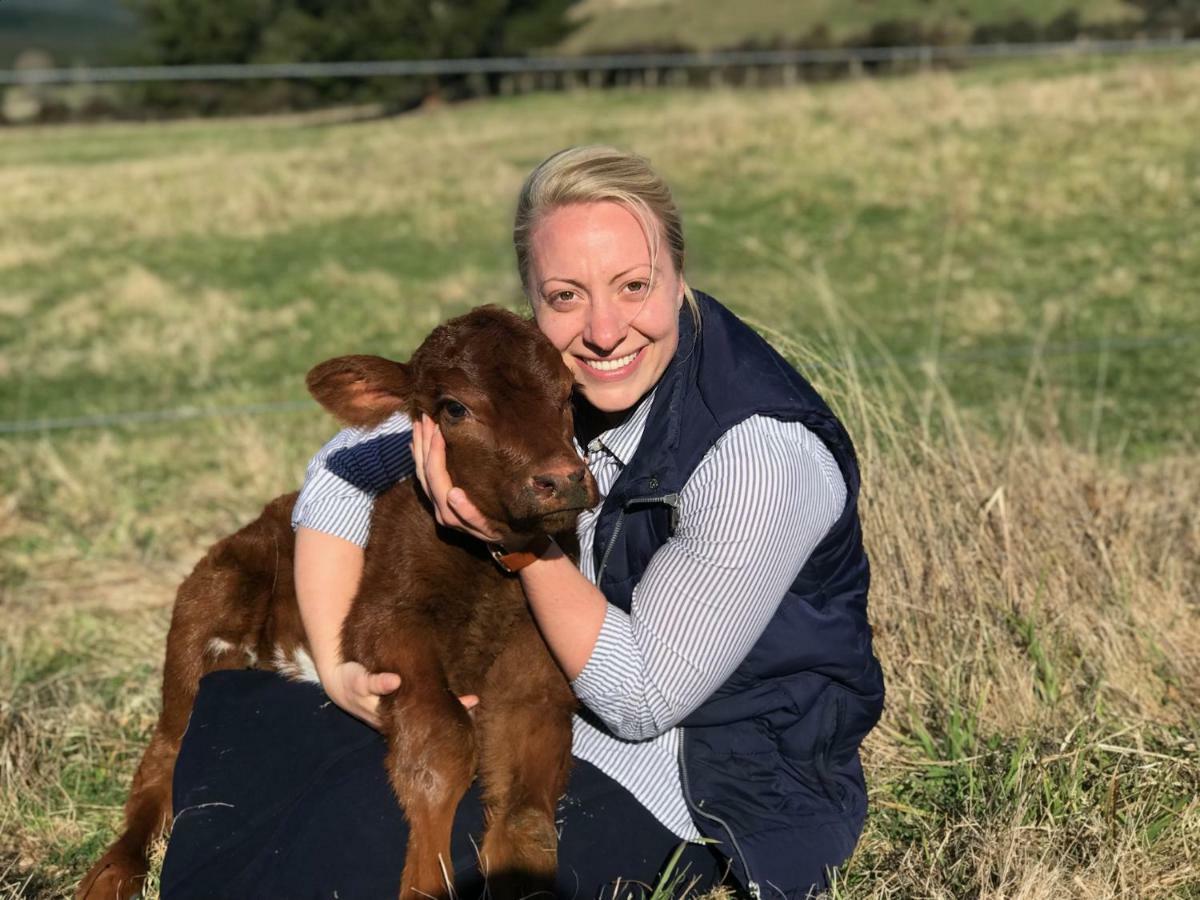 Mohaka River Farm Te Haroto Kültér fotó
